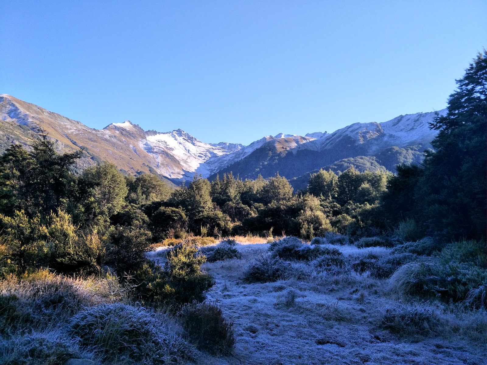 Mt Crichton Loop Track