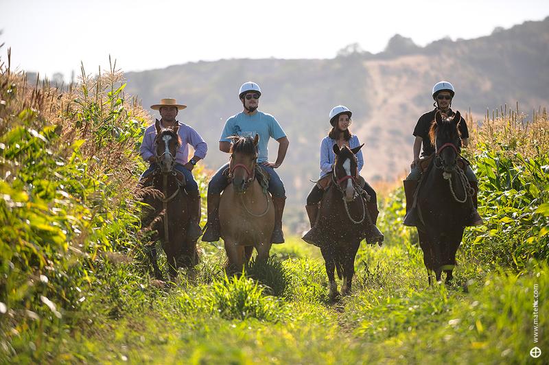 La Casona at Metetic Vineyards Excursions