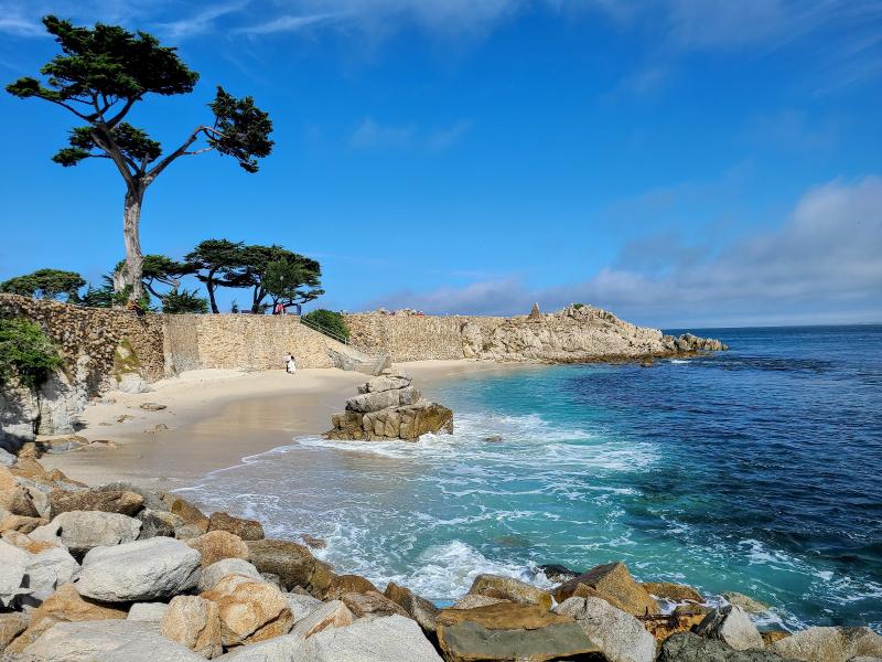 Sunset Catamaran: Private Twilight Sail on Monterey Bay