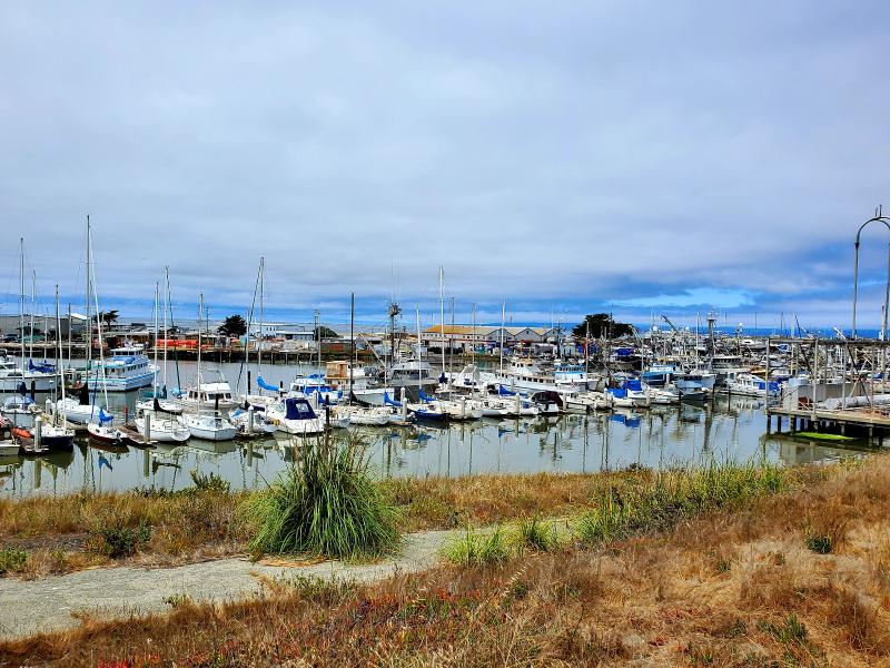 Option 1: Private Kayaking Excursion at Moss Landing