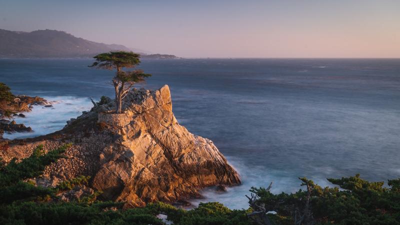Option 2: Guided E-Bike T our Along 17-Mile Drive