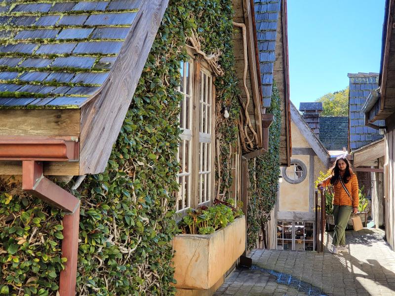 Option 1: Carmel-by-the-Sea Detour: Artistic Village Immersion
