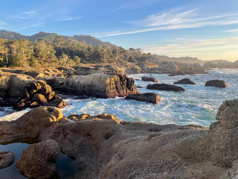 Option 2: Point Lobos State Natural Reserve: Tranquil Nature Prelude