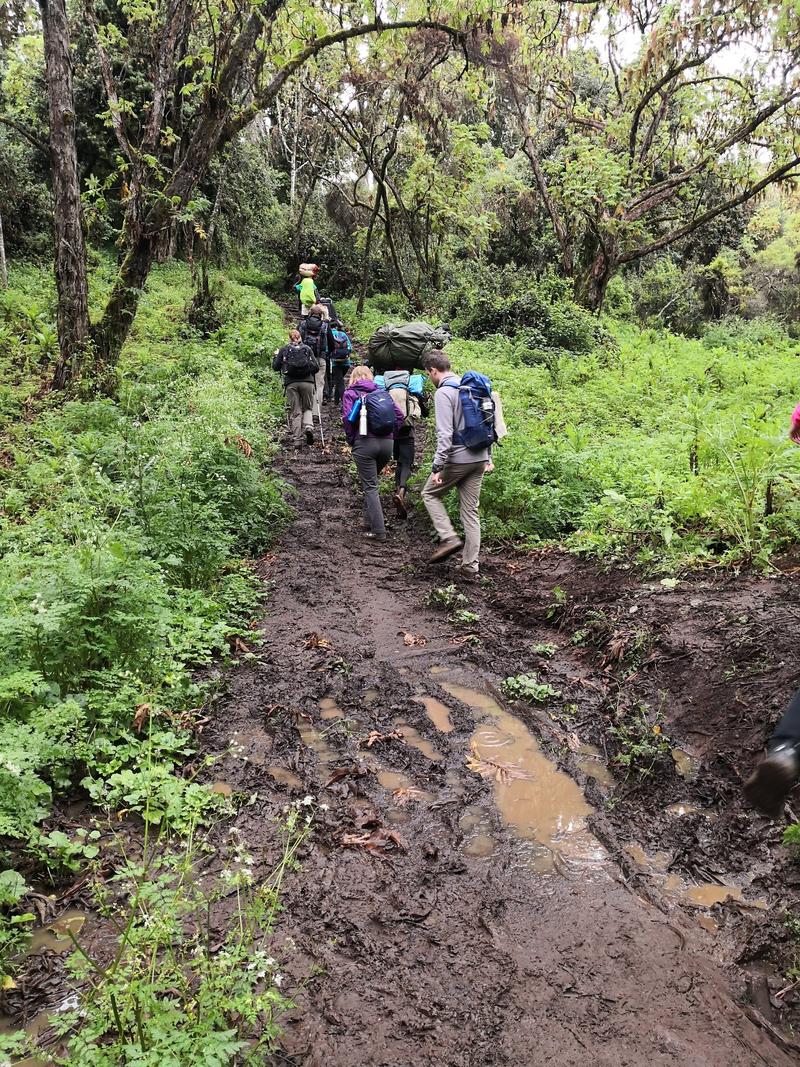 Lemosho Route - Day 1