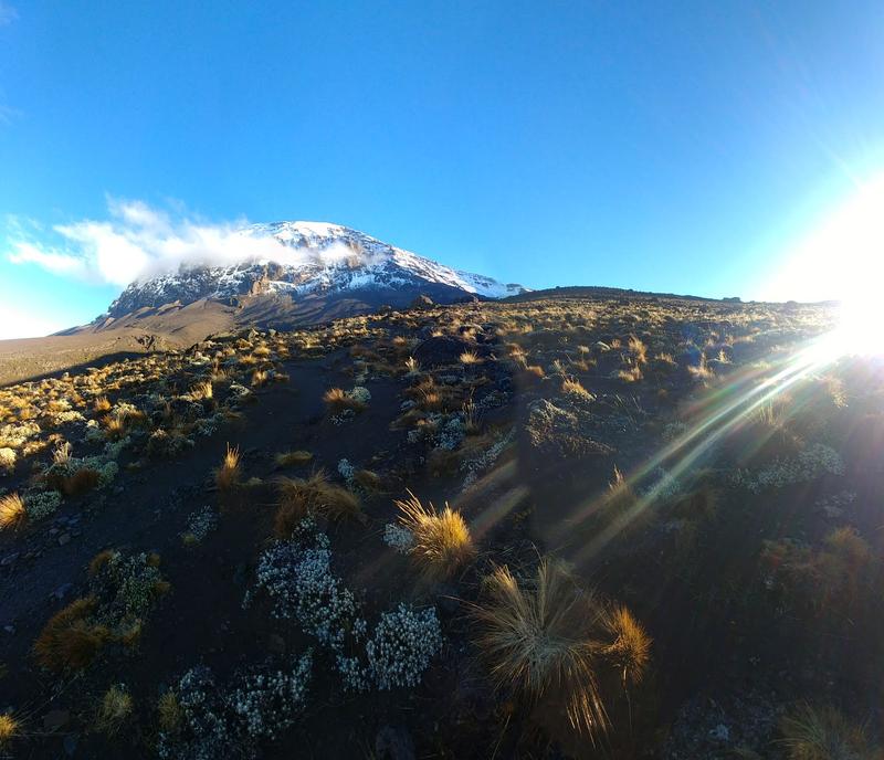 Lemosho Route - Day 5