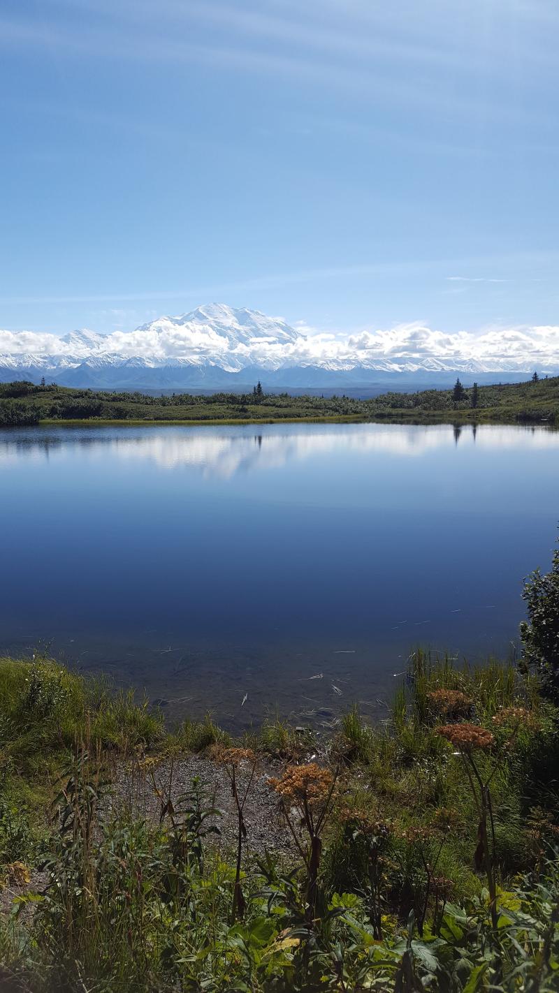 Camp Denali Experiences