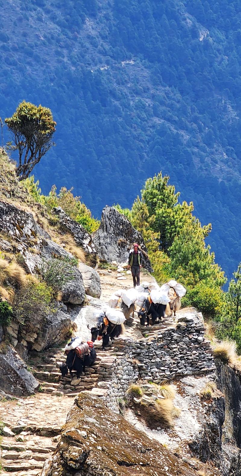 Dingboche Acclimatization