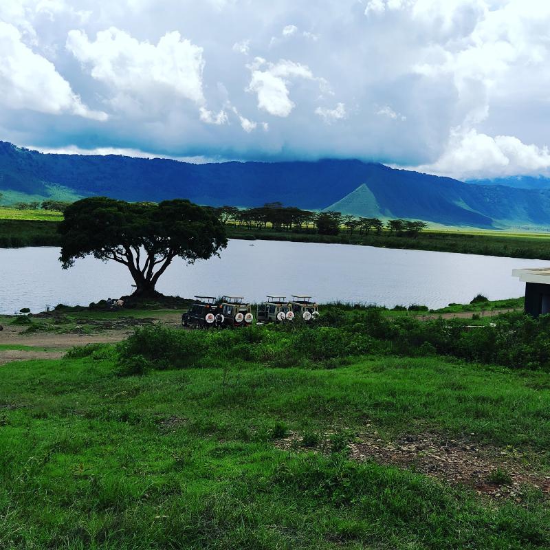 Ngorongoro Crater Game Drive