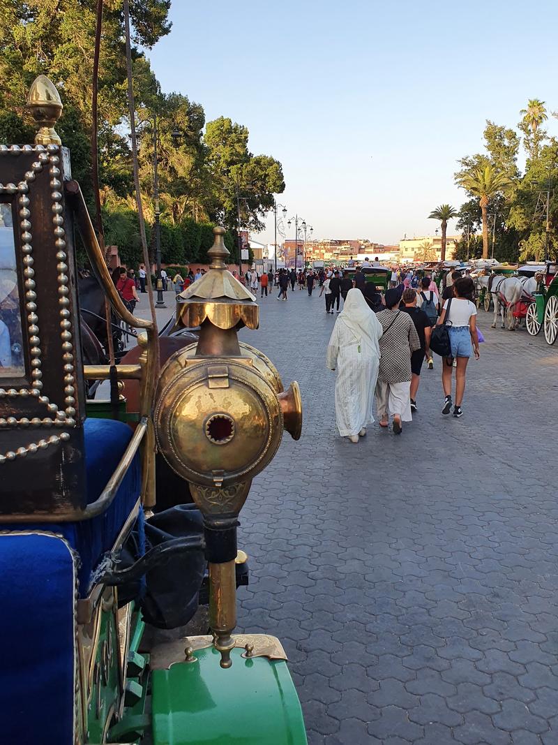 Explore Marrakech
