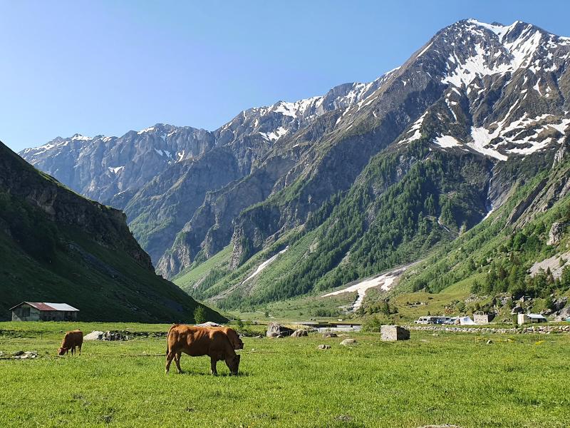Trek from Les Contamines to Les Chapieux