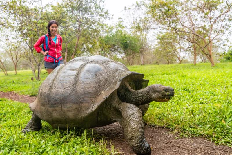 Hike With Giant Tortoises