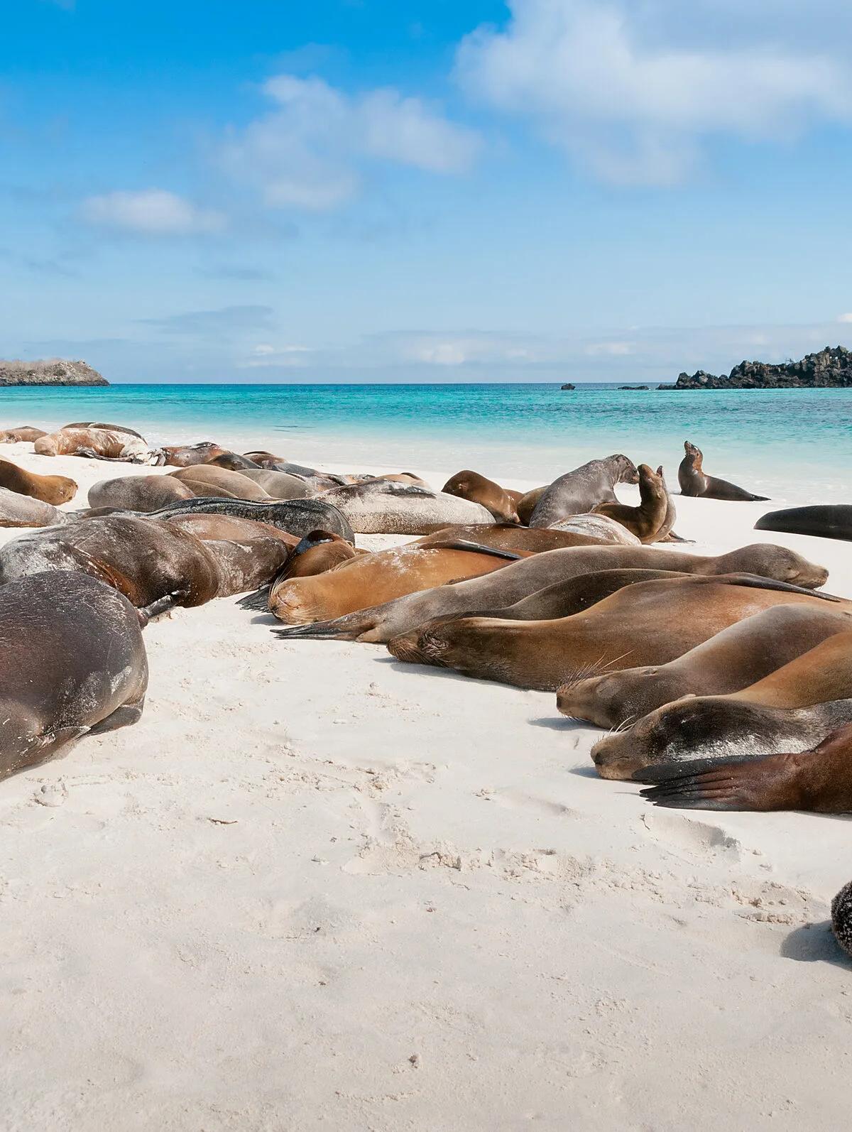 Galápagos Multisport (8-Day)
